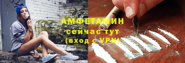 молекула духа Краснослободск