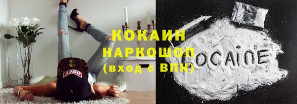 молекула духа Краснослободск