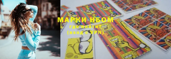 молекула духа Краснослободск