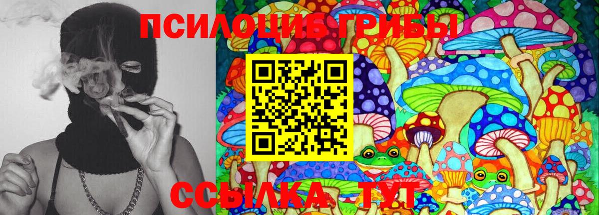 Псилоцибиновые грибы прущие грибы Энгельс