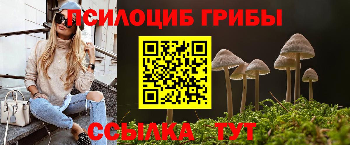 Галлюциногенные грибы MAGIC MUSHROOMS  Галлюциногенные грибы Psilocybine cubensis  Энгельс 