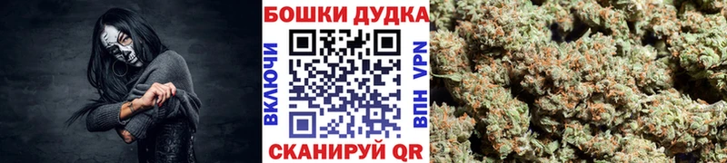 закладка  Энгельс  Марихуана семена 